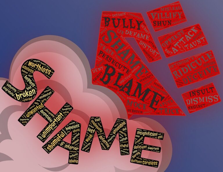 Rochester lie detector test, domestic abuse, domestic violence, false allegations